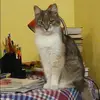 Отзыв от Екатерина Рябова